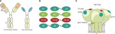 Anti-HIV-1 Nanobody-IgG1 Constructs With Improved Neutralization Potency and the Ability to Mediate Fc Effector Functions